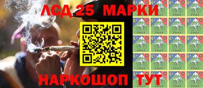 гидра Новозыбков