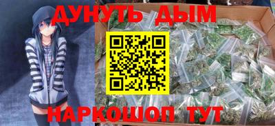 гидра Новозыбков