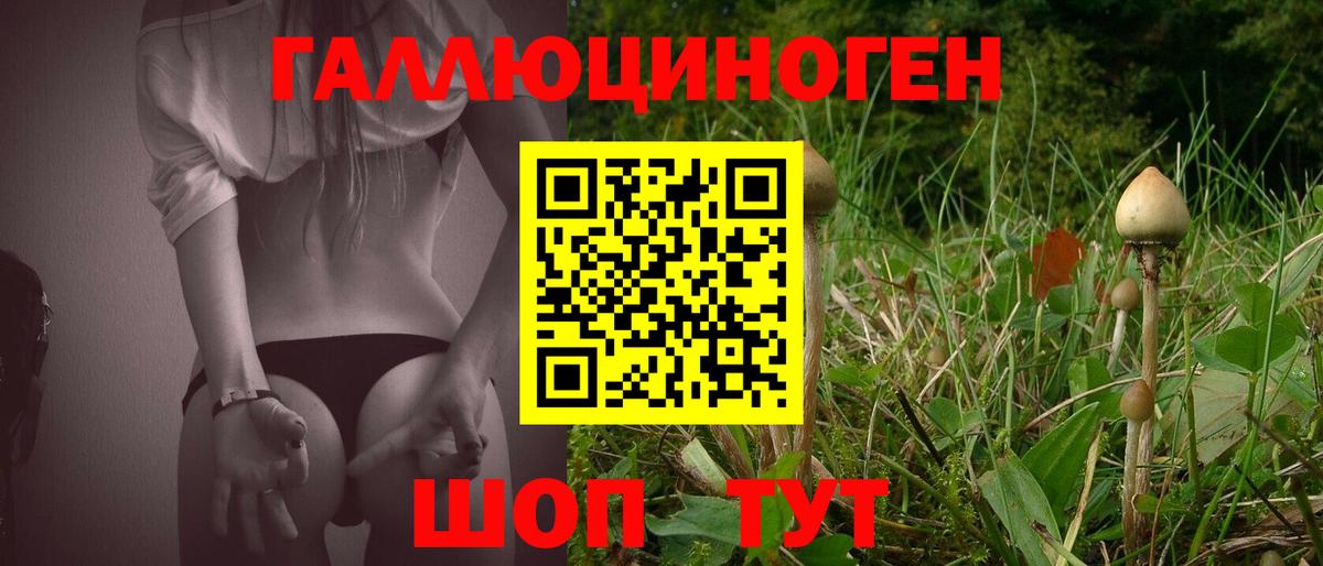 Сланцы  Псилоцибиновые грибы GOLDEN TEACHER  Вход с VPN 